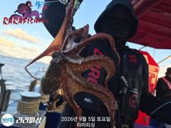 (南)남해조황 - (야간문어) 월.화.수.쭉욱 예약가능 일욜야간 달립니다