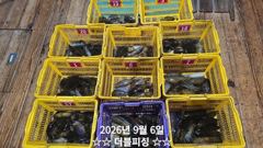 진해더블피싱 무늬팁런 05토욜 11분 219수 철수조황