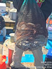 오늘은 싸이즈가 아주묵직 했어요 사진