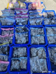 출조안내 - 여수 갈치 9월8일(화) 10일(목) 15일(화) 18일(금) 20일(일) 출조. 홍원항 쭈&갑 9/12일(토) 16일(수) 17일(목) 18일 21일 22일 23일 24일 예약중. 포천, 남양주, 판교, 효행공원. 사진