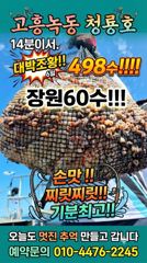 <고흥녹동> 청룡호 6일 새벽반 돌문어 대박!조황!!