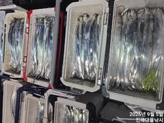 [진해] 와~내만칼치 3지까지 엄청나게 퍼담고 타작헷네~,월,화,수욜예약…