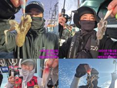 <레인보우호> 쭈꾸미 종일 마무리 굿 조황(6일)-군산 쭈꾸미 잘나옵니다~!