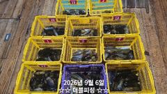 진해더블피싱 무늬팁런 05토욜 11분 219수 철수조황 사진