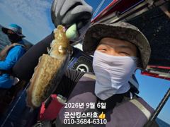 군산킹스타호(9/6)쭈꾸미 마무리조황(9/8~예약가능합니다 사진