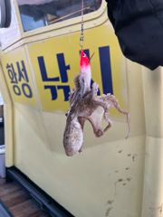 9월 6일 쭈꾸 친구들 채포. 사건!!!