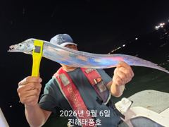 6일 입항, 내만갈치 담배갑 사이즈까지 엄청 잡았습니다. 월요일부터 예약가능. 사진