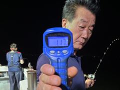 ->야간문어 키로오버및중치 마릿수굿( 월요일야간예약중 사진