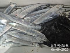 [진해] 내만갈치 남 여 어린이누구나 함께 손맛입맛 월 화 수예약가능 사진