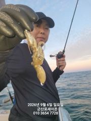 [군산] 9월6일-쭈꾸미 조황