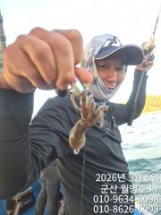 9/6 쭈꾸미