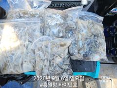 [쭈갑조황] [홍원항 타이탄호] 9월6일(일) 야들야들 하지만 손맛은 일품인~ 사진