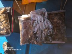 쭈꾸미 낚시