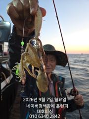 대호피싱 쭈꾸미 조업중 입니다 사진