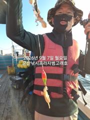 6일, 쏟아지는 대광어~~어부도 이렇게는?~참돔,우럭등~가을시즌 빅 팡파레~!~싸이즈 굿굿~초대대박~군산낚시프라자 범고래호 사진