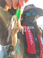 7일, 군산쭈꾸미~오늘도 시작~나오고 있어요~실시간~내일 주간문… 사진