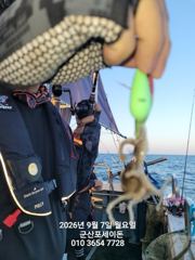 (西)서해조황 - 7일, 군산쭈꾸미 좋아요~제법 싸이즈 좋은 쭈꾸미가 나와요~실시간~내일 주간문어갑니다~~오전/오후반~군산 포세이돈호