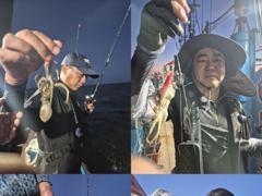 크라운호 쭈꾸미 실시간조황(7일) 사진