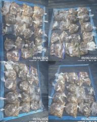삼천포 뉴펄스호 쭈꾸미 실시간 대박!! 사진