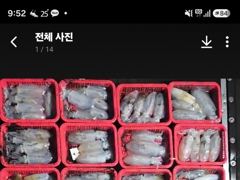 [통영] 10톤통영스텔라호 밴드로 오세요 187수!!우후 사진