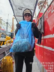 2차피크시즌 녹동권문어