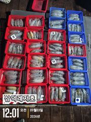 [팁런]똥바람통에도,무늬,"퍽퍽"(화요일,출항확정 ,자리널널)
