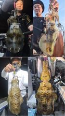 쭈.갑 먹물조황+ - 팁런무늬무니무니!!!오늘 달립니다!!예약가능