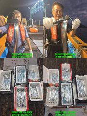 [마산] 내만 갈치 7일새벽 조항 빤짝 빤짝 합니다. 매일출조 예약가능