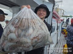 (南)남해조황 - 삼천포 돌문어! 가을 시즌 씨알 마릿수 시작!