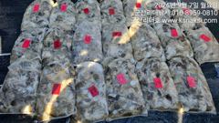군산리더호⭐대박쭈꾸미 망탱조황⭐선단자리여유 사진