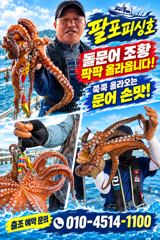팔포피싱호 돌문어출조 예약중입니다 사진