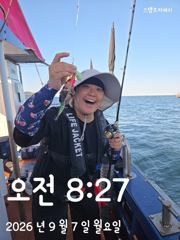 주꾸미 사진