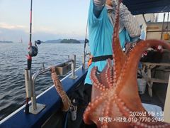 "여밭돌문어"계속3자릿수 800g700g600g덩치들이~13수12수 부터 전원마릿수조황~(예약가능) 사진