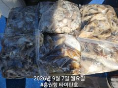 오늘의조황 - [홍원한 신세계호] 9월7일(월) 점점좋아지는 씨알 망태기 조황 - 홍원항 블랙펄호,배낚시,바다낚시,광어 다운샷, 참돔 타이라바, 백조기, 주꾸미, 갑오징어, 우럭 사진