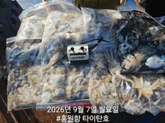 [홍원항 타이탄호] 9월7일(월) 괜찮게 나와준 쭈꾸미 조황