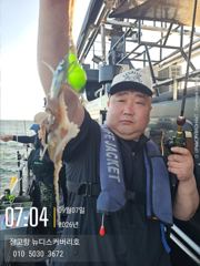 9월7일 쭈꾸미 조황 입니다.