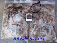 26년9월7일 조황
