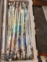 [[제주 뉴그린호(2호) 9월 7일 야간갈치 조황]]
