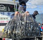 9월7일 쭈꾸미 갑오징어 쌍걸이로 조황요~