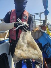 9월7일 씨헌터호 쭈꾸미 조항입니다 사진