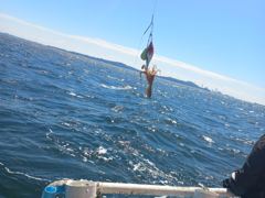 등대 사진