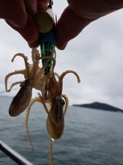 9/7 오늘의 조항입니다