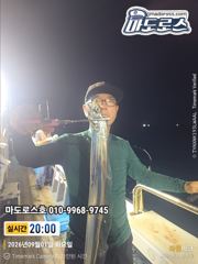 금요일부터 소수인원도 출항합니다