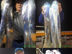 진도 << 일오삼호>> 왕갈치조황입니다. << 이번주 자리여유 많이 있습니다. >>