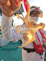 8일, 군산쭈꾸미~좋은 날씨 나오고 있어요~점점 좋아지는 쭈구미…