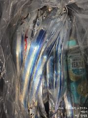 갈치한치조황++ - 8일 입항 내만갈치 담배갑사이즈까지 엄청 잡았습니다. 오늘 예약가능.