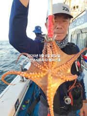 8일, 부쩍커졌다~ 군산 문어들~주간에 낚이는 문어들~제대로 나오고 있어요~실시간~내일도 출조합니다~~~군산 챔피언호