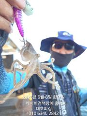대호피싱호 쭈꾸미낚시 손자와할아버지팀 좌현 혼자팀 우현할아버지팀 과연 승자는. ..