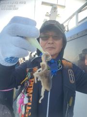 8일, 군산쭈꾸미~나오고 있어요~점점 좋아지는 쭈구미조황~실시간~군산낚시프라자 그랜드호 사진