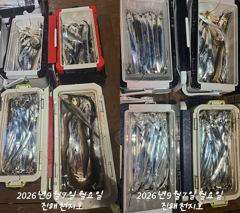 내만갈치 씨알급 잡으로 갑니다~~~~예약가능 사진